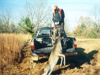 Loading a Big Buck Onto a Truck