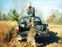 Loading a Big Buck Onto a Truck